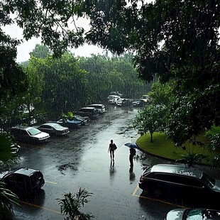 雨中停车场