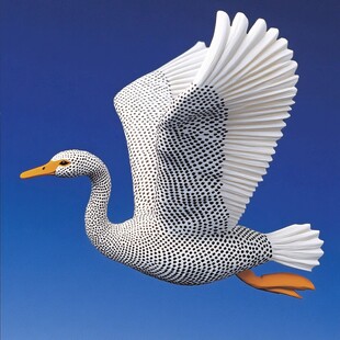 立体飞鸟