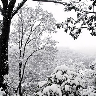 雪化粧