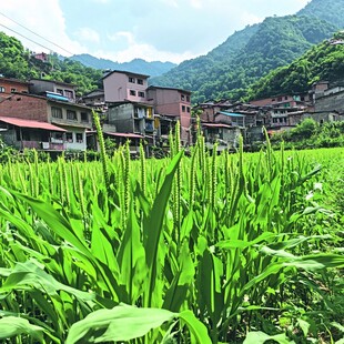 山里乡间