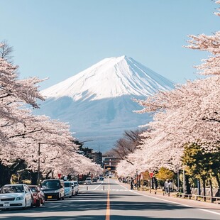 富士山景区道路