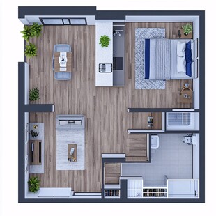 房间布局立体效果图