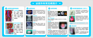 泌尿外科常见疾病