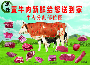 高清牛肉分解部位图