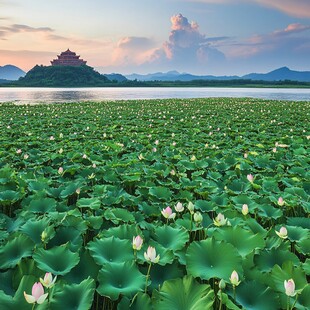 平天湖莲花台