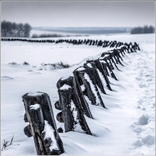 雪景篱笆院日出