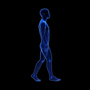 人物侧面行走