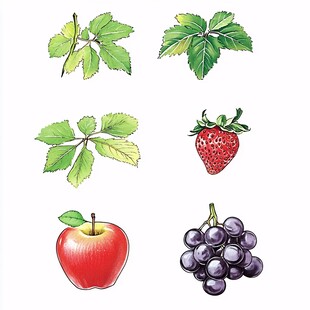 各色水果手绘