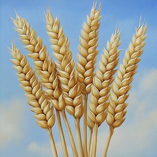 麦穗宣传图