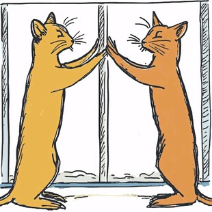 手绘情侣猫咪插画
