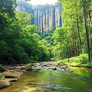 金鞭溪峡谷