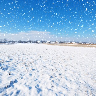 雪野雪地