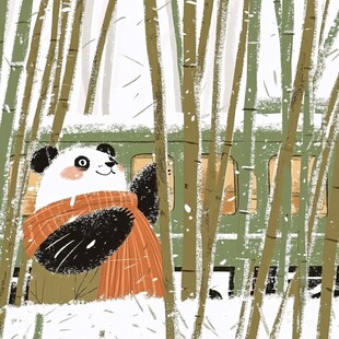 熊猫绘本插图插画