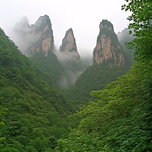 雨后神农山