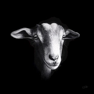 手绘山羊黑白简约挂画
