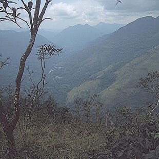 打鼓嶂山顶风光