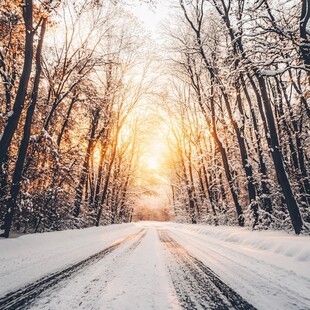 清晨冬季森林积雪公路