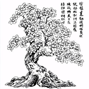 榔梅手绘