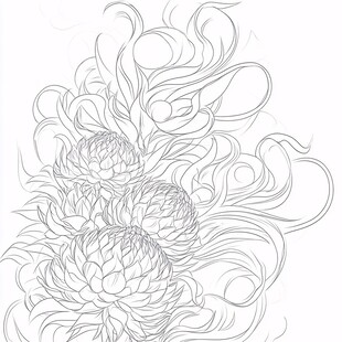 松花线描图