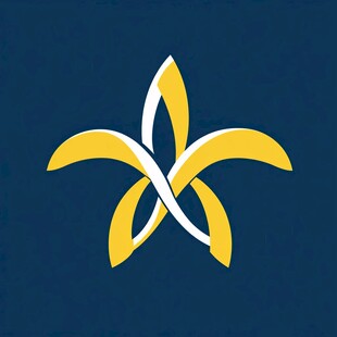 x星团结logo