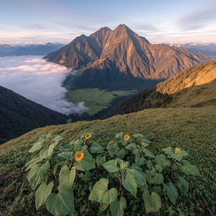 大北山日出风光