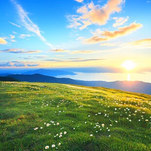 高山草甸日出