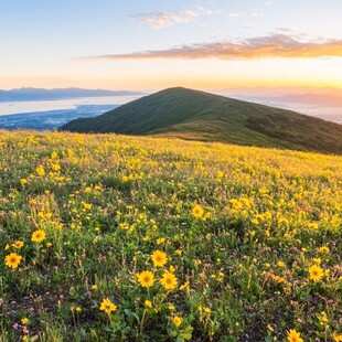 海坨山的早晨