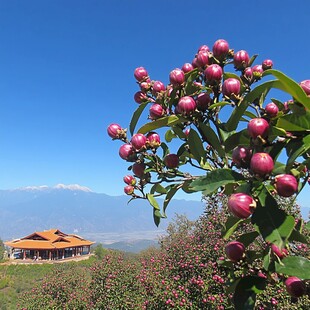 庆都山