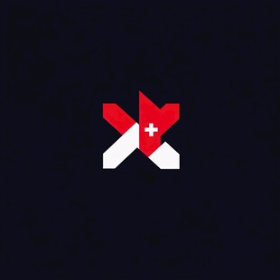 x十字logo