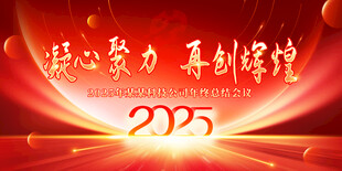 2025蛇年年会