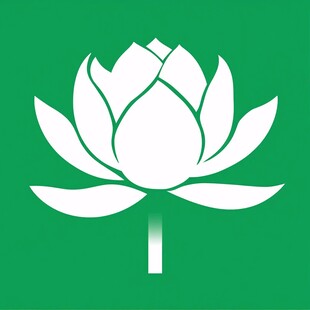 莲花佛系logo