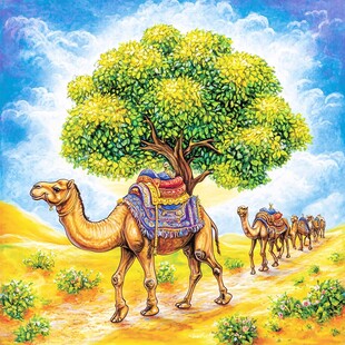 骆驼胡杨林插画