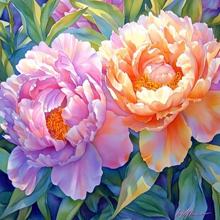 3d立体花卉牡丹