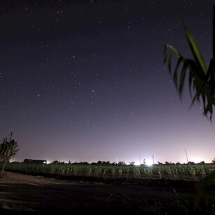 原野夜景