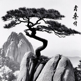 黑白迎客松