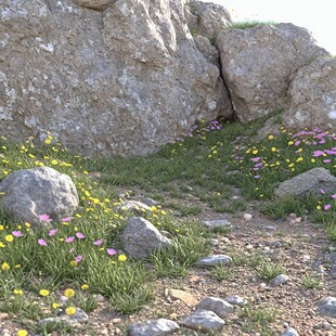 花海花丛花圃石堆