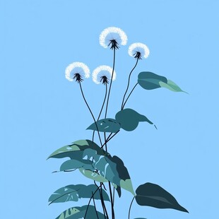 枝叶花草蒲公英