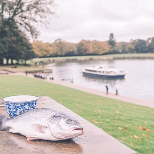 英国海德公园