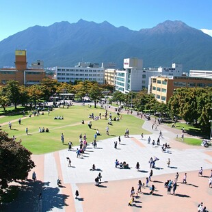 东陆大学