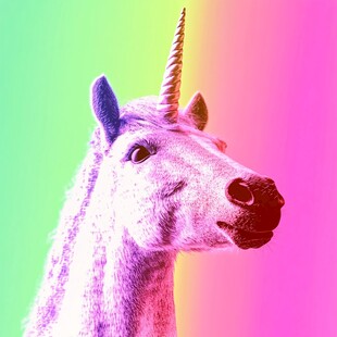 色块独角兽