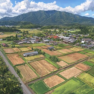 日本农村