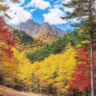 秋天登山景色