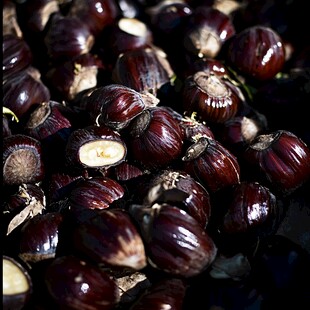 丰收果实红仁板栗