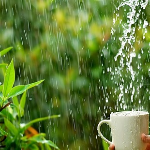 浇雨