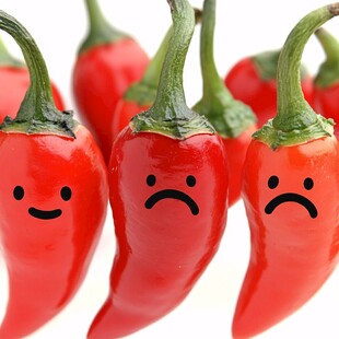 辣椒性情页