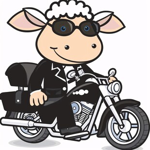 小绵羊摩托车