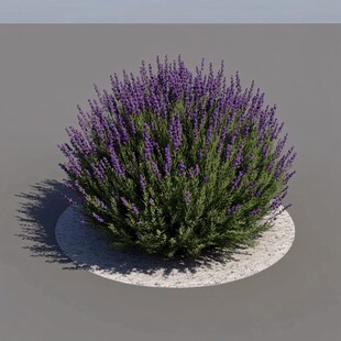 3dmax植物