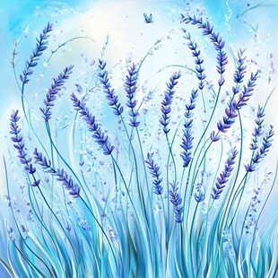 薰衣草插画