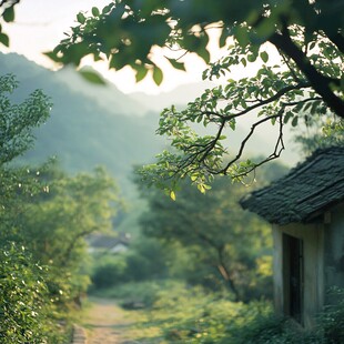 郊外农村山里