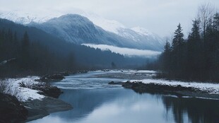 雪山森林河水